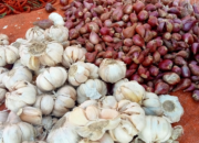 Kementan Pastikan Harga Stabil Pasca Fluktuasi Lebaran