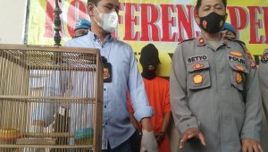 Kepergok Curi Burung Warga Mergangsan Nyaris Diamuk Massa