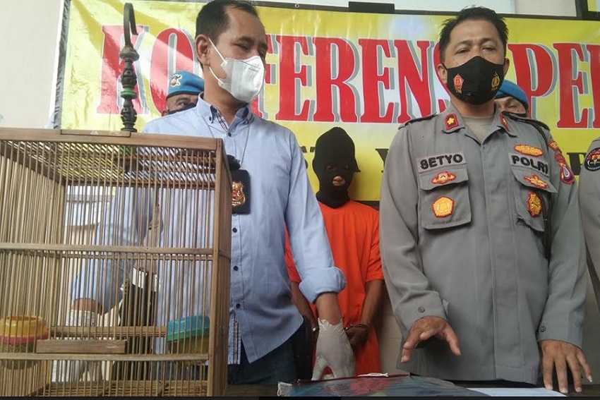 Kepergok Curi Burung Warga Mergangsan Nyaris Diamuk Massa