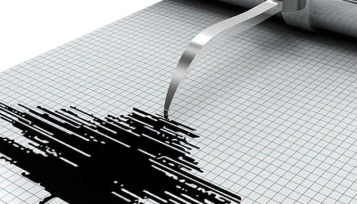 Kepulauan Aru Berguncang! Gempa M 4,6 Getarkan Maluku