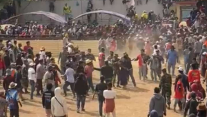 Kericuhan Hebat di Final Kerapan Sapi Piala Presiden 2023