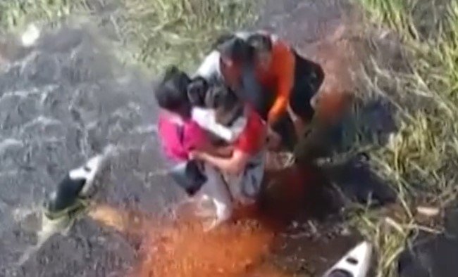 Kisah Dramatis Selamat dari Kecelakaan Pesawat, Lima Nyawa Lolos dari Maut 36 Jam Dikelilingi Buaya dan Anaconda