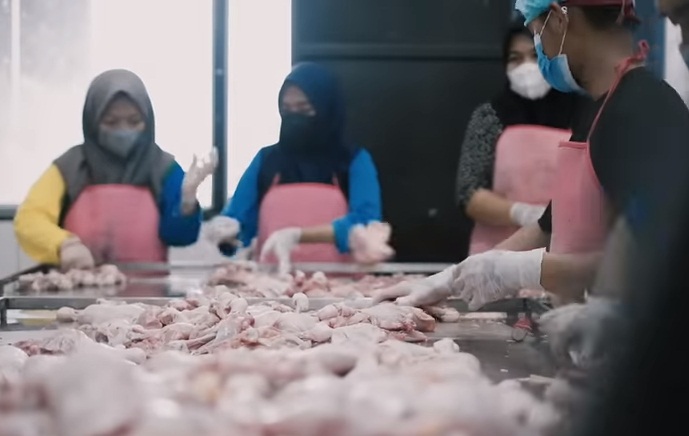 Kisah Sukses Anak Daerah Jadi Bos Ayam! Bangun Usaha Modal 700RB