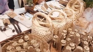 Tiga Pilar Yang Harus Dipegang Untuk Menentukan Konsep Kawasan Desa Wisata