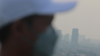 Krisis Polusi Udara di Jabodetabek: Kesehatan dan Ekonomi Terancam!