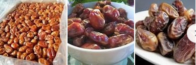 11 Jenis Buah Kurma Yang Beredar di Pasaran Cocok Untuk Buka Puasa di Bulan Ramadlan