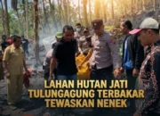 Lahan Hutan Jati Tulungagung Terbakar Tewaskan Nenek 9 Lahan Hutan Jati Tulungagung Terbakar Tewaskan Nenek
