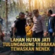 Lahan Hutan Jati Tulungagung Terbakar Tewaskan Nenek