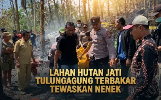 Lahan Hutan Jati Tulungagung Terbakar Tewaskan Nenek 1 Lahan Hutan Jati Tulungagung Terbakar Tewaskan Nenek