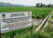 Lahan Pertanian Pangan Kota Kediri Bertambah Guna Dukung Nasional 9 Lahan Pertanian Pangan Kota Kediri Bertambah melalui optimalisasi tanah eks TKD.
