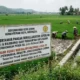 Lahan Pertanian Pangan Kota Kediri Bertambah Guna Dukung Nasional