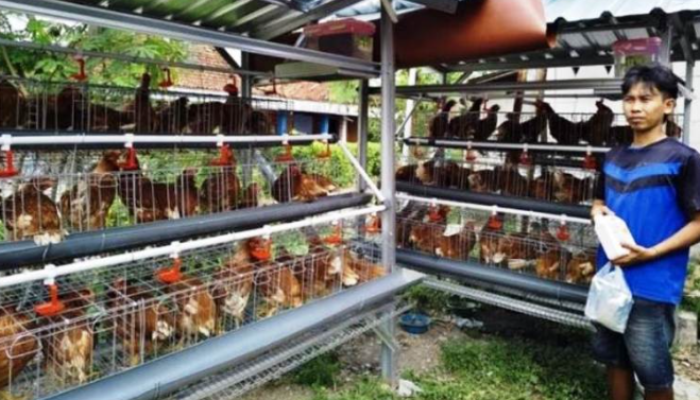 Langkah Strategis PEPC Entaskan Kemiskinan di Bojonegoro Melalui 3 Program Pemberdayaan Ekonomi Masyarakat