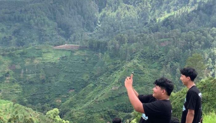 Lintasan Baru Menuju Puncak Wilis, Botoputih Tawarkan Pesona Asri Pendakian Ramah Pemula