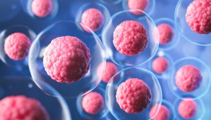 Manfaat Terapi Stem Cell untuk Penyakit Kronis dan Estetika