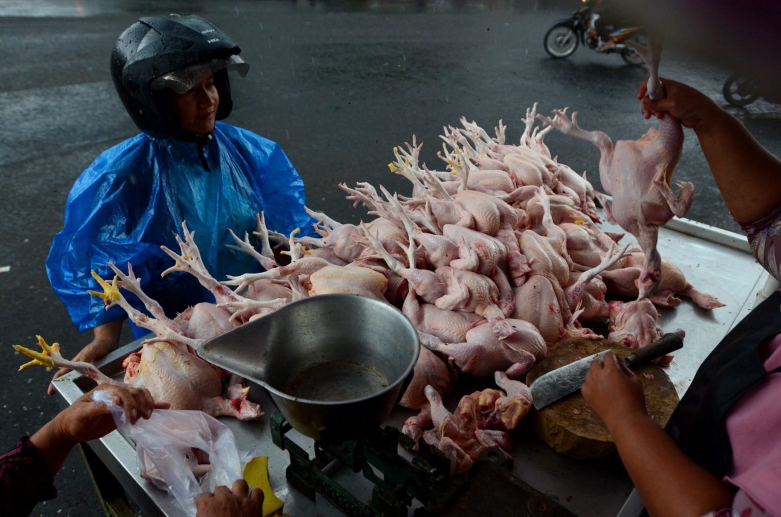 Marak Flu Burung, Dokter Harap Warga Tak Takut Makan Ayam dan Telur