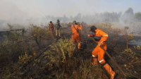 Masyarakat Diimbau untuk Mencegah Kebakaran Hutan di Tengah Ancaman El Nino dan Kekeringan