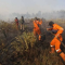 Masyarakat Diimbau untuk Mencegah Kebakaran Hutan di Tengah Ancaman El Nino dan Kekeringan