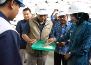 Mbak Wali Tinjau Gudang Cadangan Pangan Pastikan Pasokan Bahan Pokok Kota Kediri Melimpah