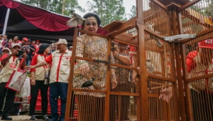 Megawati Resmikan Kebun Raya Mangrove Terbesar, Bikin Kagum Semua!