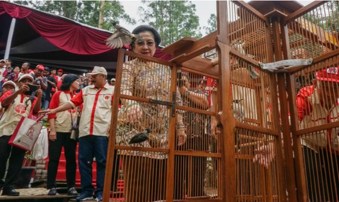 Megawati Resmikan Kebun Raya Mangrove Terbesar, Bikin Kagum Semua!