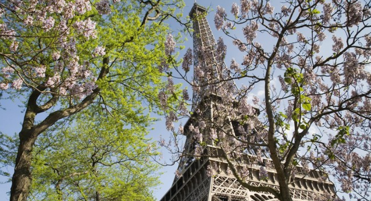 Menara Eiffel Tutup Akibat Mogok Pekerja: Dampak dan Perjuangan untuk Masa Depan Ikon Paris