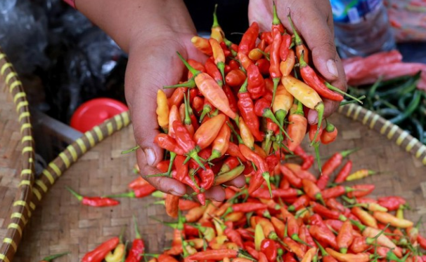 Menggali Manfaat Kesehatan Makanan Pedas yang Tersembunyi