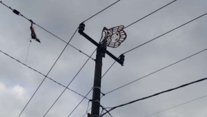 Menghindari Layang-Layang Dekat Kabel Listrik: Imbauan Penting dari PLN ULP Negara