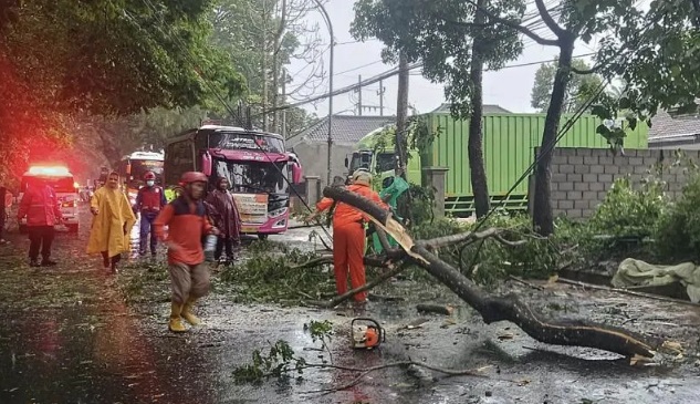 Hujan dan Angin Guyur Kota Malang, Pohon Tumbang Hingga 1 Orang Meninggal