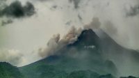 Malam Tadi  Gunung Merapi Bergolak Dengan Muntahkan Wedus Gembel Sejauh 2 Km