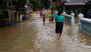 2.041 Bencana Menerjang, 172 Jiwa Melayang, Warga Mengungsi!