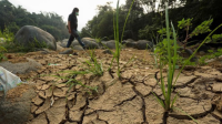 Miris! Krisis Air Bersih dan Pertanian Tersapu Fenomena El Nino!