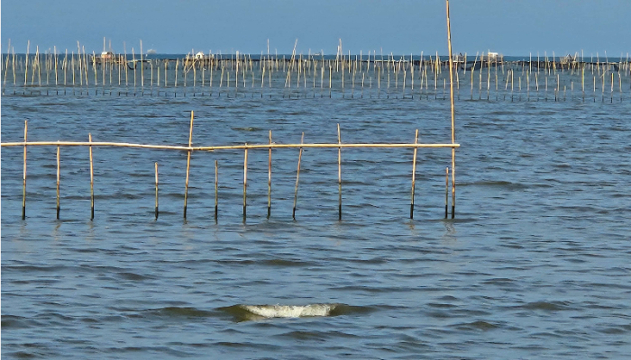 Misteri Pagar Laut Tangerang: Apdesi Diduga Terlibat, Konflik dan Tuduhan Semakin Memanas