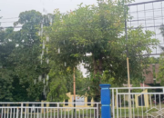 NTT Masih Dilanda Hujan Lebat! BMKG Ingatkan Potensi Bencana