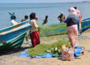 Nasib Nelayan di Ujung Tanduk, Perubahan Iklim Jadi Biang Kerok Hasil Laut Merosot Tajam