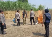 Operasi Diduga Bocor Duluan, Polsek Kandat Hanya Temukan Gelanggang Kosong Sabung Ayam di Ringinsari 9 Operasi Diduga Bocor Duluan Polsek Kandat Hanya Temukan Gelanggang Kosong Sabung Ayam di Ringinsari