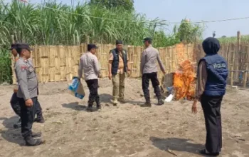 Operasi Diduga Bocor Duluan, Polsek Kandat Hanya Temukan Gelanggang Kosong Sabung Ayam di Ringinsari 3 Operasi Diduga Bocor Duluan Polsek Kandat Hanya Temukan Gelanggang Kosong Sabung Ayam di Ringinsari