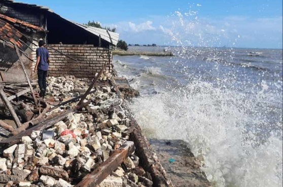 Imbas Banjir Rob di Tuban, Kandang Ayam dan Pabrik Tempe Ambruk