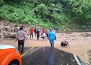 Parapat Diterjang Banjir Bandang! Akses ke Danau Toba Sempat Lumpuh
