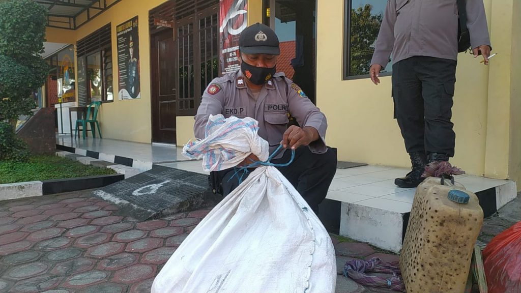 Polisi menangkap ular dan dibawa ke Polsek Nglegok