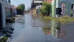 Pemukiman Warga di Pasuruan Terpendam Air, Gegara Banjir Rob