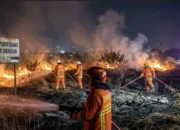 Penanganan kasus kebakaran di surabaya melonjak tajam saat puncak kemarau