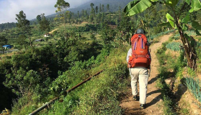 Pendakian Gunung Gede-Pangrango Ditutup Lagi