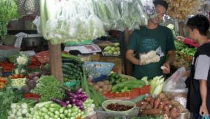 Penderita Asam Urat Wajib Tahu Pantangan dan Makanan Aman!