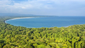 Penetapan Geopark Ujung Kulon, Momen Bersejarah bagi Konservasi!