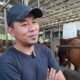 Penjualan Sapi Kurban di Kediri Melambat Jelang Iduladha, Pemilik Kandang Ungkap Fenomena Berbeda