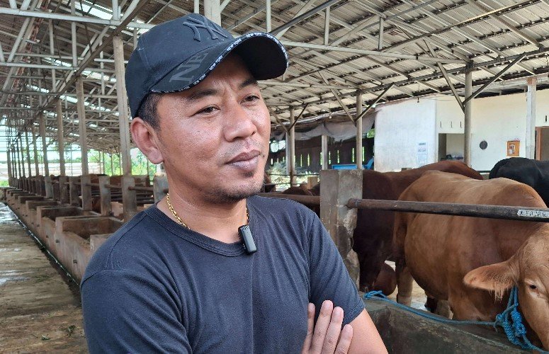 Penjualan Sapi Kurban di Kediri Melambat Jelang Iduladha, Pemilik Kandang Ungkap Fenomena Berbeda
