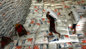 Pentingnya Memiliki Lumbung Pangan dalam Menghadapi El Nino: Nasihat Menteri Pertanian