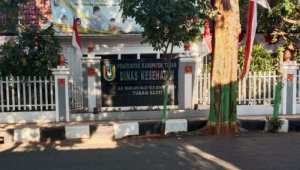 Penyakit Stunting pada Anak: Penyebab, Dampak, dan Upaya Pencegahannya