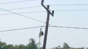 Peringatan PLN Bangkalan: Jangan Main Layang-Layang di Dekat Kabel Listrik Tegangan Tinggi