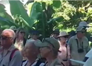 Pesona Tanimbar Bikin Bule Australia Jatuh Hati! Desa Tumbur Jadi Magnet Wisatawan